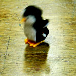 Slow Shutter Speed (Penguin)